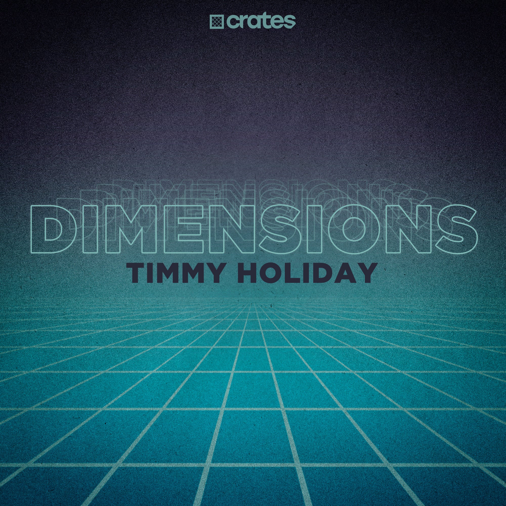Timmy Holiday - Dimensions